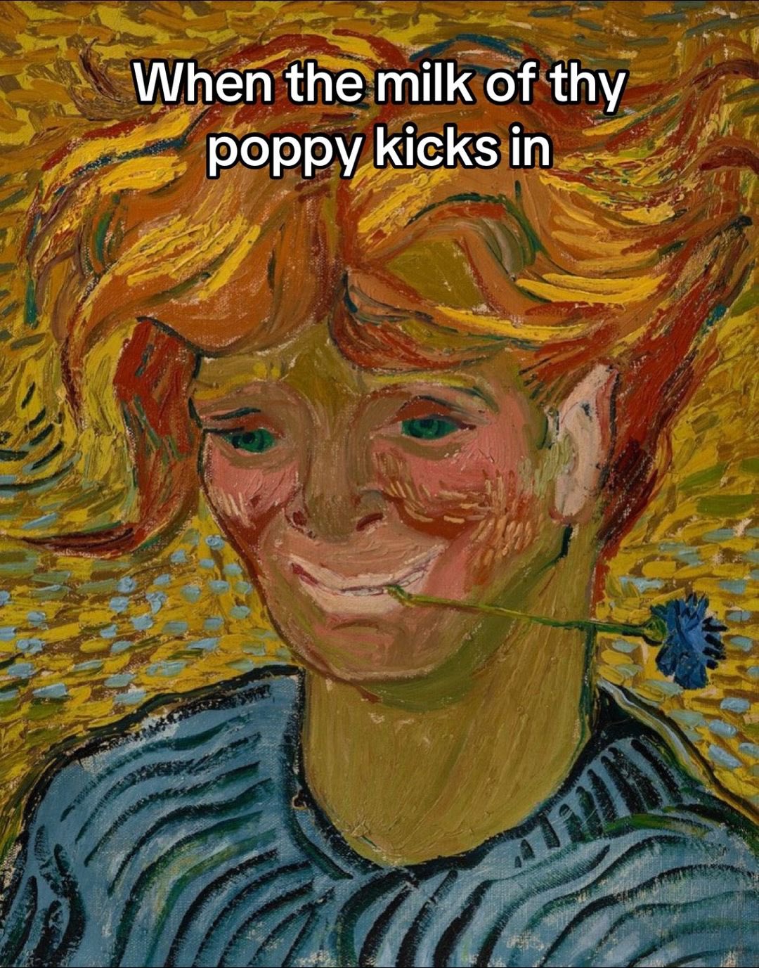 Medieval Memes meme